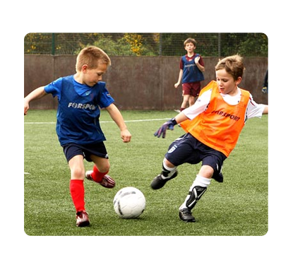 دراسة جدوى مركز تعليم الألعاب القتالية