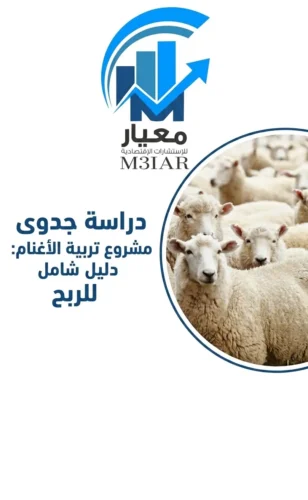 دراسة جدوى مشروع تربية الأغنام 2026: دليل شامل للربح من معيار